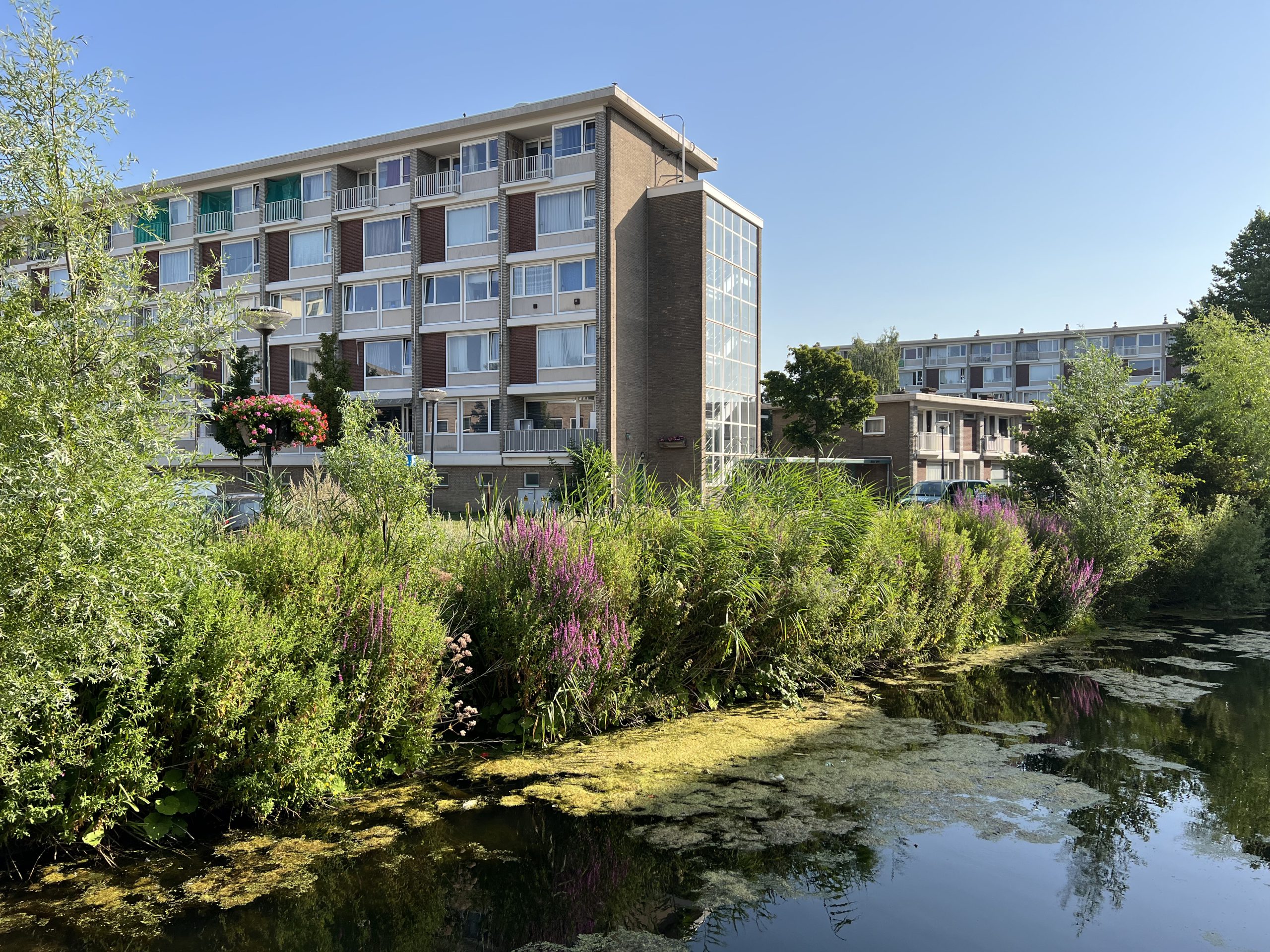 SuAn-buurt Leiden - Fakton